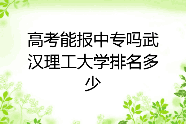 高考能报中专吗武汉理工大学排名多少