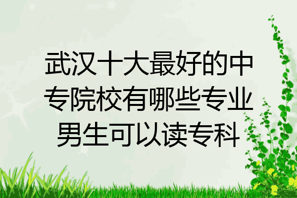 武汉十大最好的中专院校有哪些专业男生可以读专科