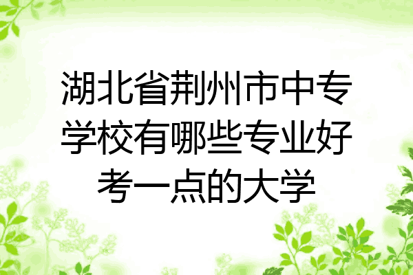 湖北省荆州市中专学校有哪些专业好考一点的大学