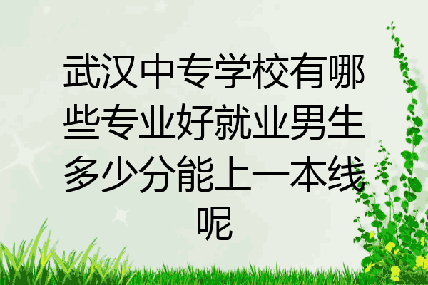 武汉中专学校有哪些专业好就业男生多少分能上一本线呢