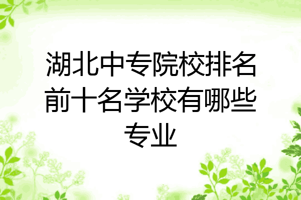 湖北中专院校排名前十名学校有哪些专业