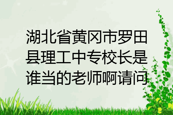 湖北省黄冈市罗田县理工中专校长是谁当的老师啊请问