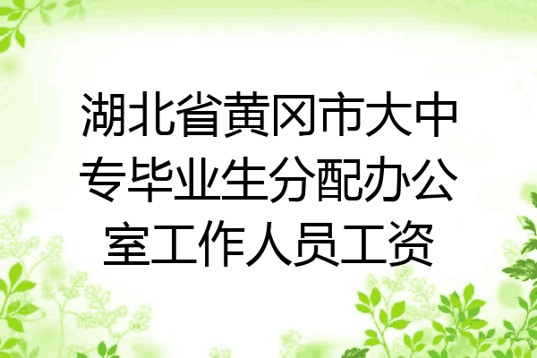 湖北省黄冈市大中专毕业生分配办公室工作人员工资