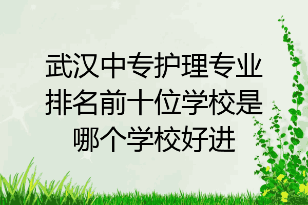 武汉中专护理专业排名前十位学校是哪个学校好进