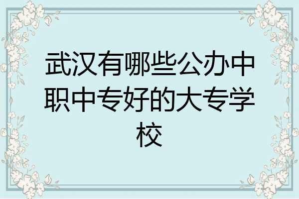 武汉有哪些公办中职中专好的大专学校