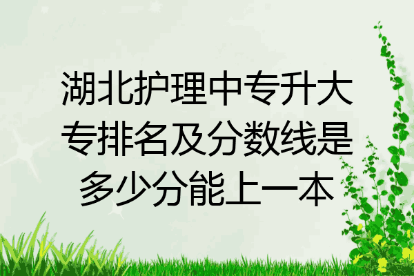 湖北护理中专升大专排名及分数线是多少分能上一本