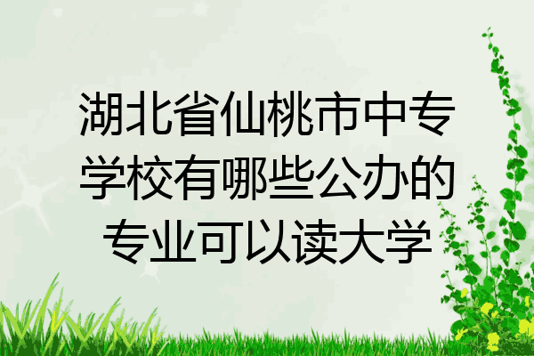 湖北省仙桃市中专学校有哪些公办的专业可以读大学