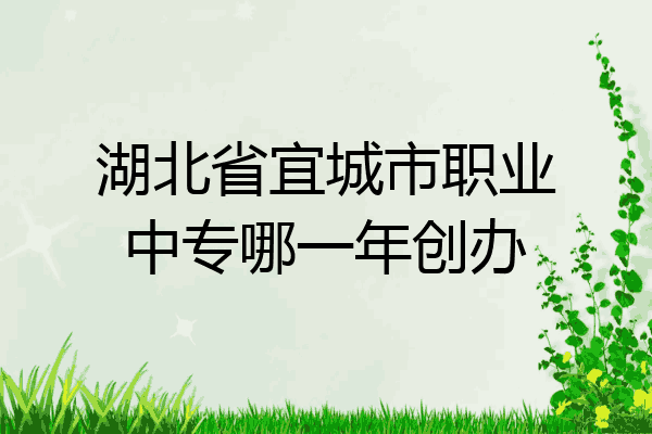 湖北省宜城市职业中专哪一年创办