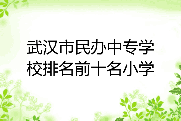 武汉市民办中专学校排名前十名小学