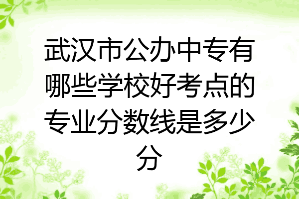 武汉市公办中专有哪些学校好考点的专业分数线是多少分