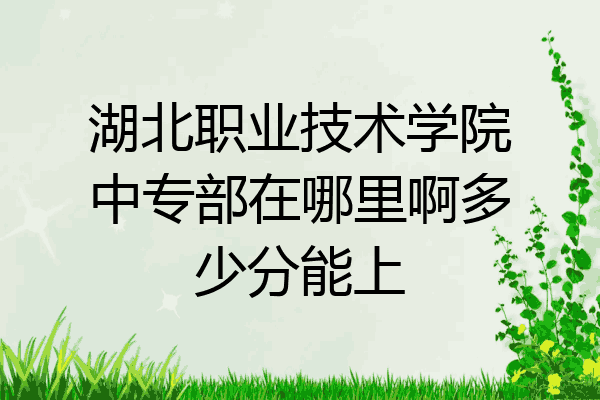 湖北职业技术学院中专部在哪里啊多少分能上