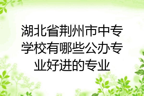湖北省荆州市中专学校有哪些公办专业好进的专业