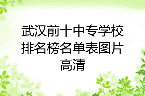 武汉前十中专学校排名榜名单表图片高清