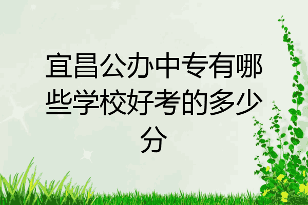 宜昌公办中专有哪些学校好考的多少分