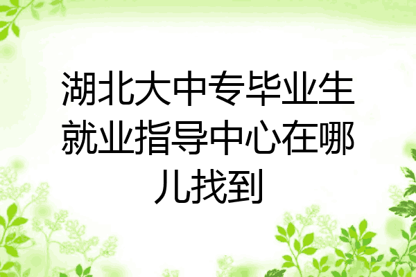 湖北大中专毕业生就业指导中心在哪儿找到