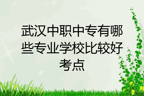 武汉中职中专有哪些专业学校比较好考点