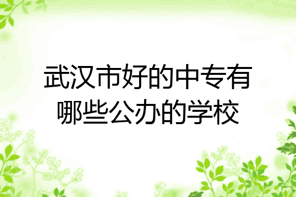 武汉市好的中专有哪些公办的学校