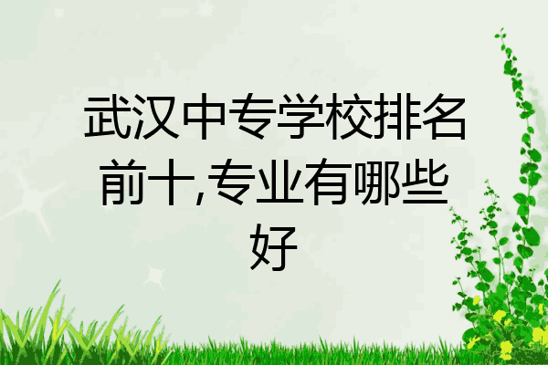 武汉中专学校排名前十,专业有哪些好