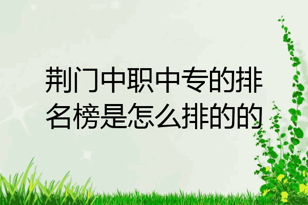 荆门中职中专的排名榜是怎么排的的
