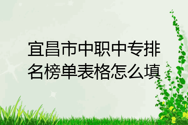宜昌市中职中专排名榜单表格怎么填