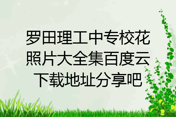罗田理工中专校花照片大全集百度云下载地址分享吧