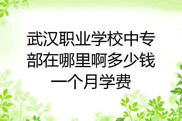 武汉职业学校中专部在哪里啊多少钱一个月学费