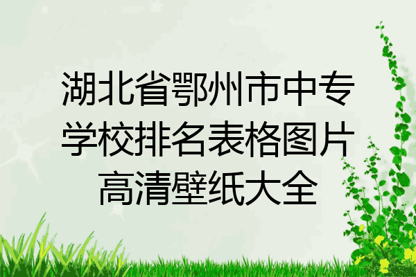 湖北省鄂州市中专学校排名表格图片高清壁纸大全