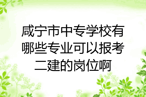 咸宁市中专学校有哪些专业可以报考二建的岗位啊