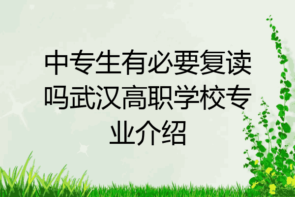中专生有必要复读吗武汉高职学校专业介绍