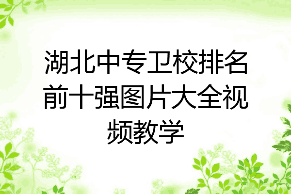 湖北中专卫校排名前十强图片大全视频教学