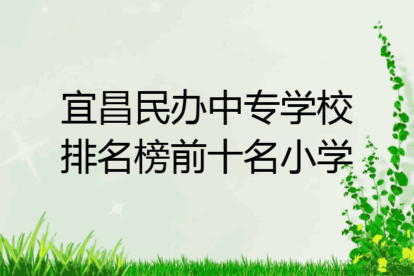 宜昌民办中专学校排名榜前十名小学