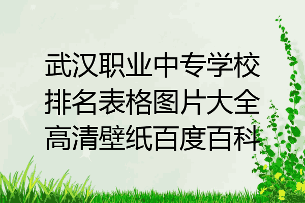 武汉职业中专学校排名表格图片大全高清壁纸百度百科