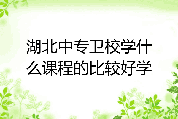湖北中专卫校学什么课程的比较好学