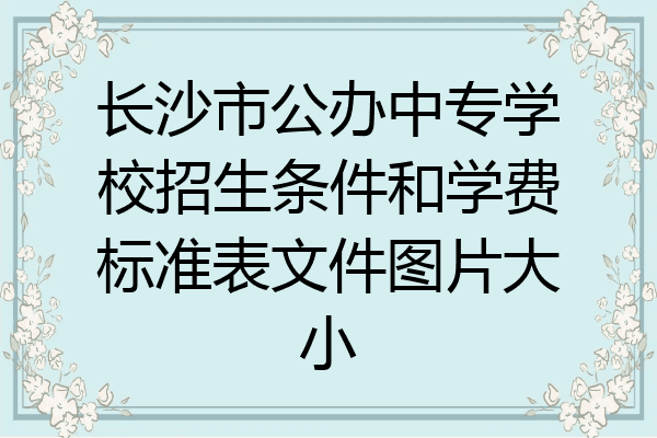 长沙市公办中专学校招生条件和学费标准表文件图片大小