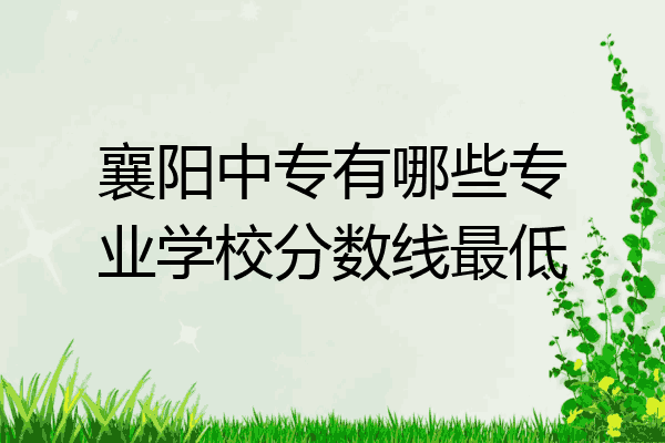 襄阳中专有哪些专业学校分数线最低