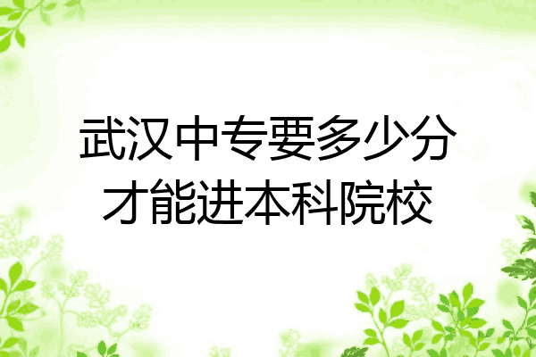 武汉中专要多少分才能进本科院校
