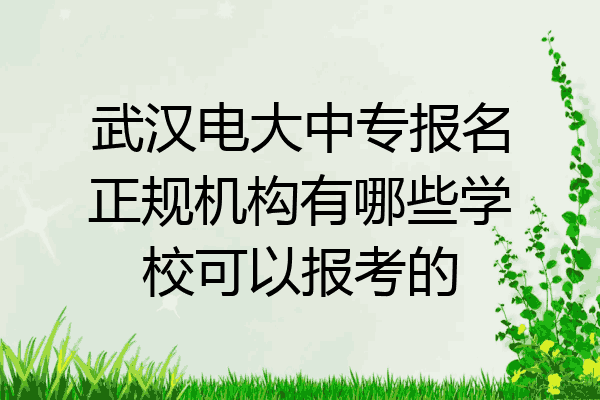 武汉电大中专报名正规机构有哪些学校可以报考的