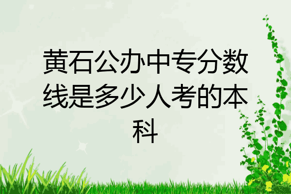 黄石公办中专分数线是多少人考的本科