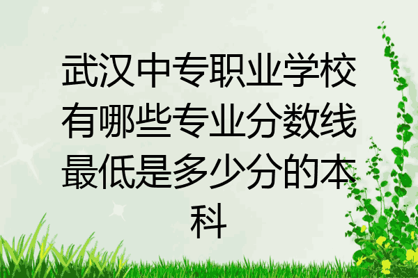 武汉中专职业学校有哪些专业分数线最低是多少分的本科