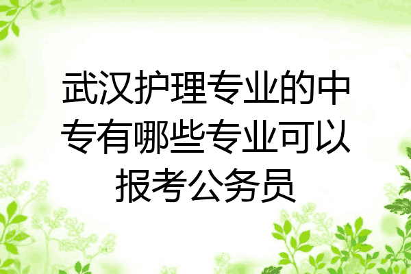 武汉护理专业的中专有哪些专业可以报考公务员