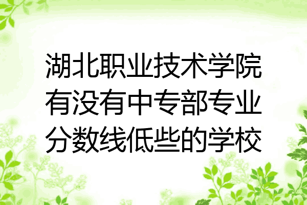 湖北职业技术学院有没有中专部专业分数线低些的学校