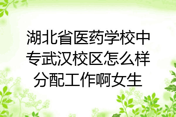 湖北省医药学校中专武汉校区怎么样分配工作啊女生