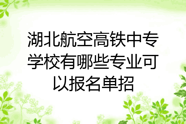 湖北航空高铁中专学校有哪些专业可以报名单招