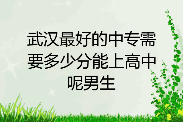 武汉最好的中专需要多少分能上高中呢男生