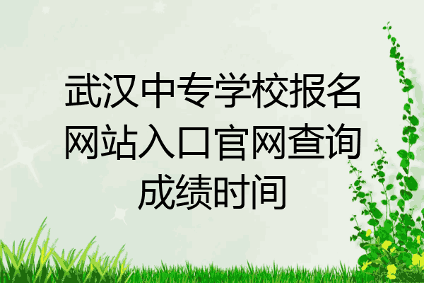 武汉中专学校报名网站入口官网查询成绩时间