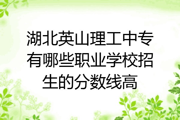 湖北英山理工中专有哪些职业学校招生的分数线高