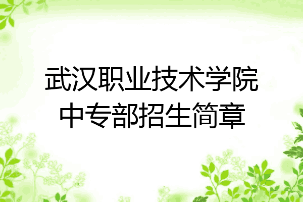 武汉职业技术学院中专部招生简章