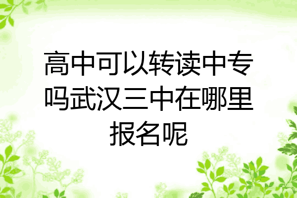 高中可以转读中专吗武汉三中在哪里报名呢