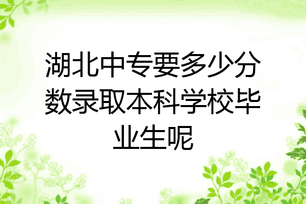 湖北中专要多少分数录取本科学校毕业生呢