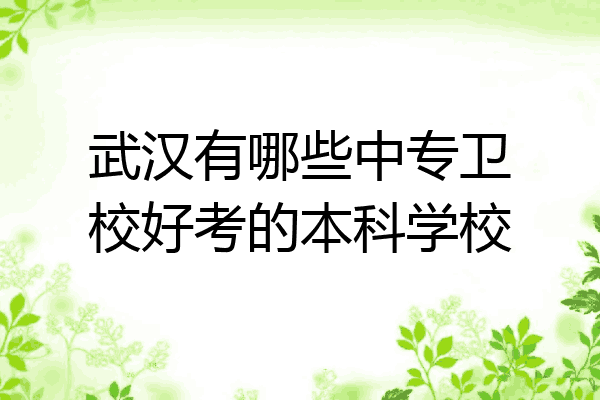 武汉有哪些中专卫校好考的本科学校